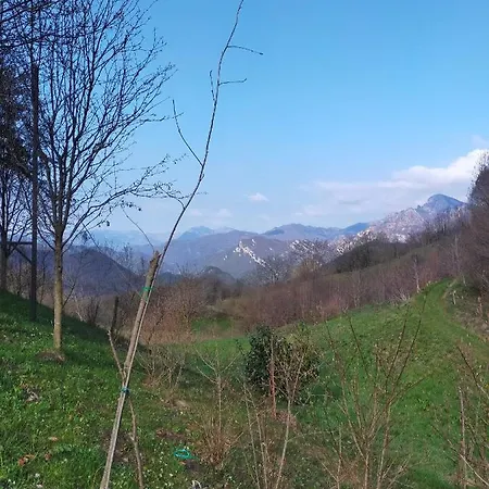 Simonetta - Da Tullio Capovalle